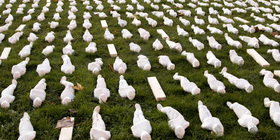 Rows of small figures wrapped in white shrouds